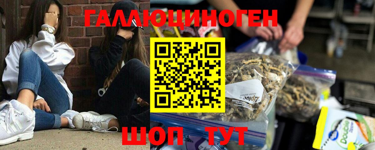 Галлюциногенные грибы GOLDEN TEACHER  Галлюциногенные грибы Magic Shrooms  Гусь-Хрустальный  Вход с VPN 